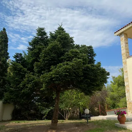 Stefanos Apartamento *